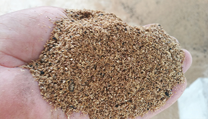 ơ����Óˮ��